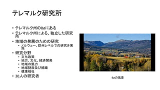 テレマルク研究所
• テレマルク州のBøにある
• テレマルク州による、独立した研究
所
• 地域の発展のための研究
• ノルウェー、欧州レベルでの研究を実
施
• 研究分野
• 文化政策
• 地方、文化、経済開発
• 地域の魅力
• 地域財政及び組織
• 健康福祉
• 30人の研究者 Bøの風景
 