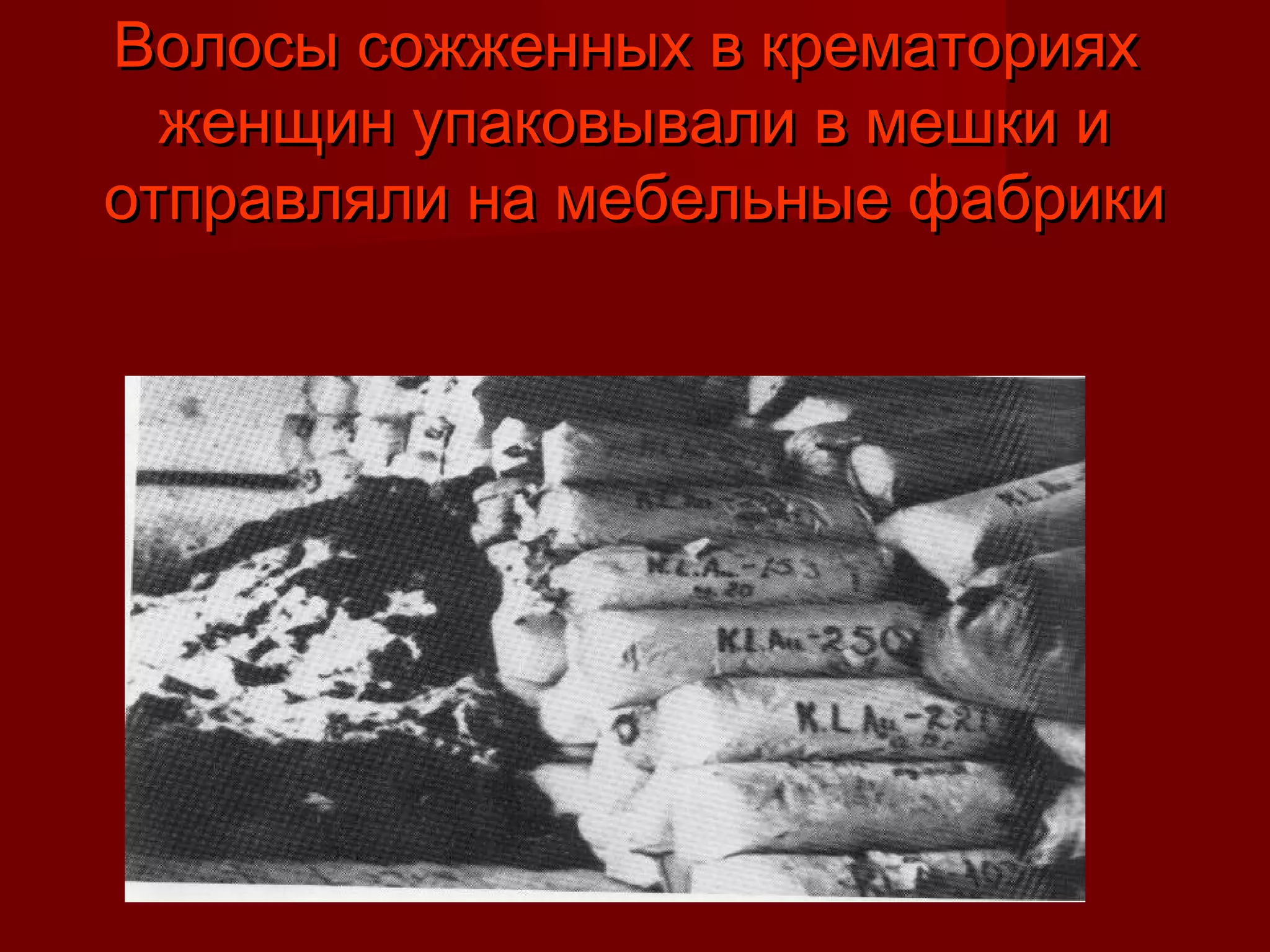 Волосы сожженных в крематорияхВолосы сожженных в крематориях
женщин упаковывали в мешки иженщин упаковывали в мешки и
отправляли на мебельные фабрикиотправляли на мебельные фабрики
 