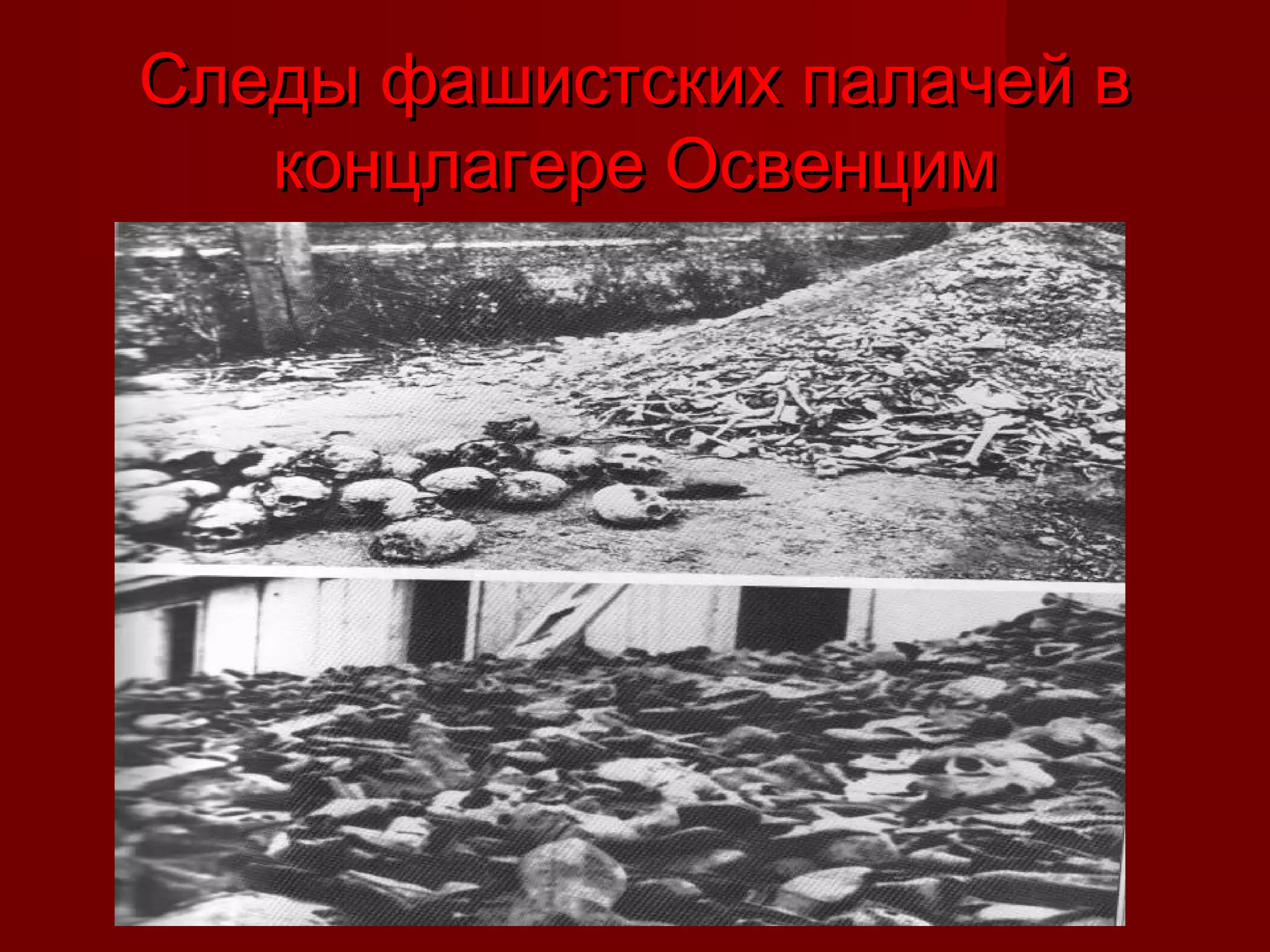 Следы фашистских палачей вСледы фашистских палачей в
концлагере Освенцимконцлагере Освенцим
 