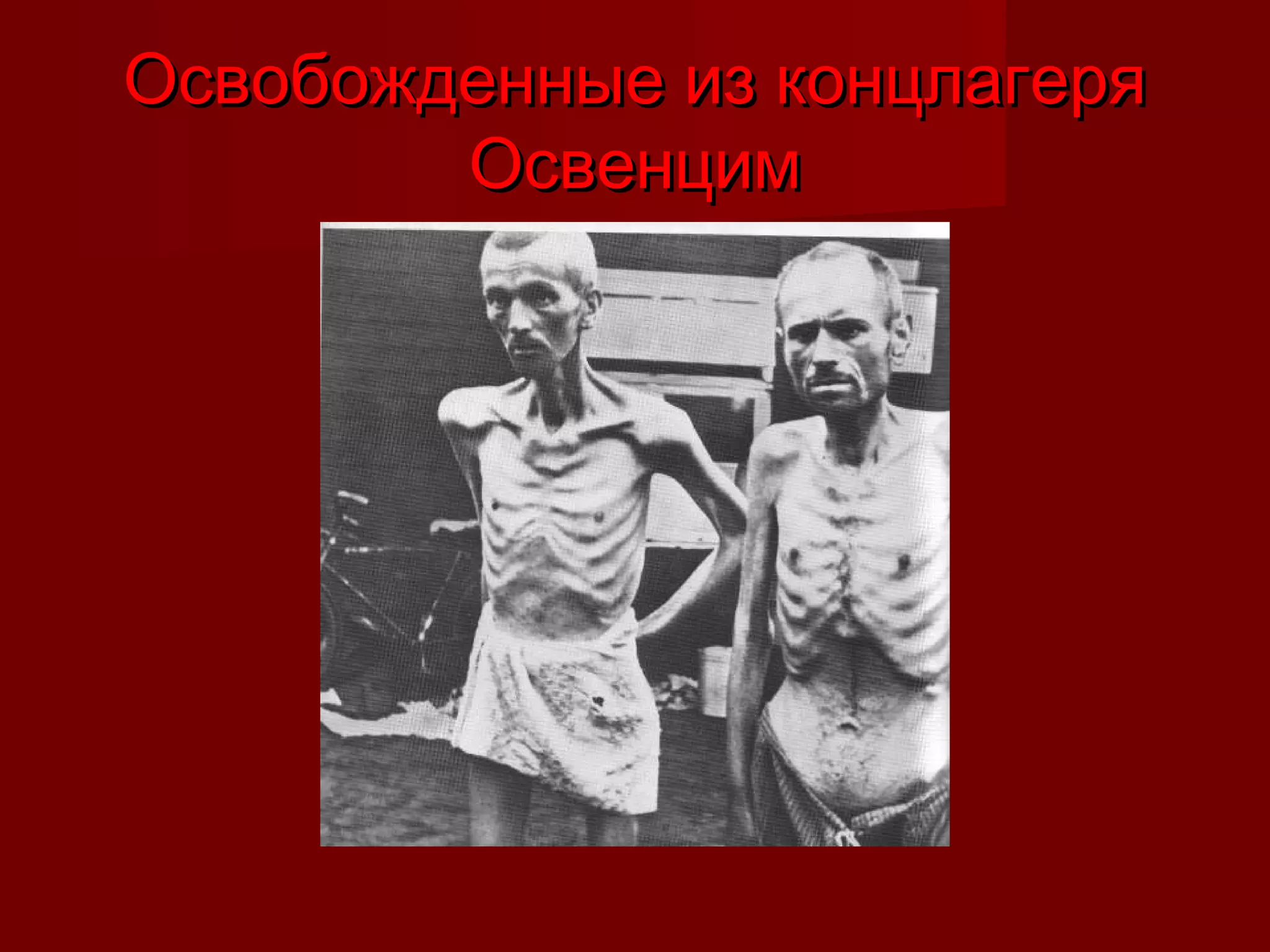 Освобожденные из концлагеряОсвобожденные из концлагеря
ОсвенцимОсвенцим
 