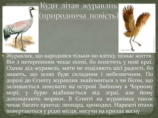  Журавлик, що народився тільки-но влітку, пізнає життя.
Він з нетерпінням чекає осені, бо полетить у нові краї.
Однак дід-журавель, мати не поділяють цієї радості, бо
знають, що шлях буде складним і небезпечним. По
дорозі до Єгипту журавлик знайомиться з чи бісом, що
залишається зимувати на острові Зміїному в Чорному
морі; у бурю відбивається від зграї, але йому
допомагають моряки. В Єгипті на журавлика також
чекає багато пригод: леопард, крокодил. Нарешті птахи
повертаються у рідні місця, несучи на крилах весну
 