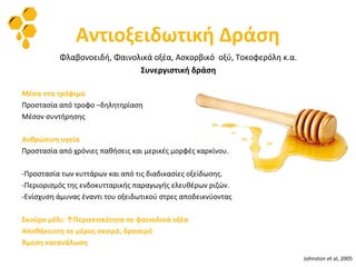 Αντιοξειδωτική Δράση
Φλαβονοειδή, Φαινολικά οξέα, Ασκορβικό οξύ, Τοκοφερόλη κ.α.
Συνεργιστική δράση
Μέσα στα τρόφιμα
Προστασία από τροφο –δηλητηρίαση
Μέσον συντήρησης
Ανθρώπινη υγεία
Προστασία από χρόνιες παθήσεις και μερικές μορφές καρκίνου.
-Προστασία των κυττάρων και από τις διαδικασίες οξείδωσης.
-Περιορισμός της ενδοκυτταρικής παραγωγής ελευθέρων ριζών.
-Ενίσχυση άμυνας έναντι του οξειδωτικού στρες αποδεικνύοντας
Σκούρο μέλι: ↑Περιεκτικότητα σε φαινολικά οξέα
Αποθήκευση σε μέρος σκιερό, δροσερό
Άμεση κατανάλωση
Johnston et al, 2005
 