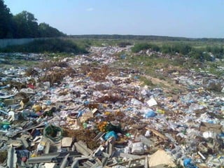 Екологічний  клуб “ Первоцвіт ” Бишівської ЗОШ І-ІІІ ст. презентує