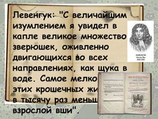 Левенгук: "С величайшим
изумлением я увидел в
капле великое множество
зверюшек, оживленно
двигающихся во всех
направлениях, как щука в
воде. Самое мелкое из
этих крошечных животных
в тысячу раз меньше глаза
взрослой вши".
 