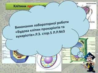 Клітини еукаріотів
Клітини прокаріотів
 