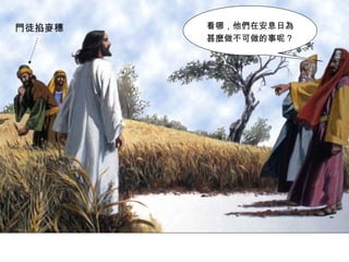 看哪，他們在安息日為
甚麼做不可做的事呢？
門徒掐麥穗
 