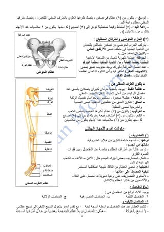 4
-‫الرسغ‬:-( ‫من‬ ‫يتكون‬8‫طرفها‬ ‫ويتصل‬ ، ‫للكعبرة‬ ‫السفلي‬ ‫بالطرف‬ ‫العلوي‬ ‫طرفها‬ ‫يتصل‬ ، ‫صفين‬ ‫في‬ ‫عظام‬ )
. ‫اليد‬ ‫راحة‬ ‫بعظام‬ ‫السفلي‬
-‫اليد‬ ‫راحة‬:-(5( ‫إلى‬ ‫تؤدي‬ ‫مستطيلة‬ ‫رفيعة‬ ‫أمشاط‬ )5‫من‬ ‫يتكون‬ ‫منها‬ ‫كل‬ ( ‫أصابع‬ )3‫اإلبهام‬ ‫عدا‬ ‫سالميات‬
) ‫سالميتين‬ ‫من‬ ‫يتكون‬.
(1)‫السفليان‬ ‫والطرفان‬ ‫الحوضي‬ ‫الحزام‬:
-‫متماثلين‬ ‫نصفين‬ ‫من‬ ‫الحوضي‬ ‫الحزام‬ ‫يتركب‬‫يلتح‬‫مان‬
‫تسمى‬ ‫منطقة‬ ‫في‬ ‫البطنية‬ ‫الناحية‬ ‫في‬‫العاني‬ ‫األرتفاق‬
-: ‫من‬ ‫نصف‬ ‫كل‬ ‫يتكون‬-
-‫الحرقفة‬‫الناحية‬ ‫من‬ ‫تتصل‬ ‫ظهرية‬ ‫:عظمة‬‫ا‬‫ألمامية‬
‫بعظمة‬ ‫البطنية‬‫العانة‬‫الناحية‬ ‫ومن‬‫ا‬‫بعظمة‬ ‫لخلفية‬‫الور‬‫ك‬
-‫يسمى‬ ‫عميق‬ ‫تجويف‬ ‫يوجد‬ ‫بالورك‬ ‫الحرقفة‬ ‫اتصال‬ ‫عند‬
)‫الحقي‬ ‫(التجويف‬‫رأس‬ ‫فيه‬ ‫تستقر‬‫لعظ‬ ‫الداخلى‬ ‫النتوء‬‫مة‬
‫ا‬‫لفخذ‬‫ليكون‬‫مفصل‬‫الفخذ‬.
-: ‫من‬ ‫السفلي‬ ‫الطرف‬ ‫يتكون‬
-‫الفخذ‬ ‫عظمة‬‫عند‬ ‫بالساق‬ ‫يتصالن‬ ‫كبيران‬ ‫نتوءان‬ ‫بأسفلها‬ ‫يوجد‬ :
‫أعلى‬ ‫ومن‬ ‫الركبة‬ ‫مفصل‬‫تتحرك‬‫د‬‫الحقي‬ ‫التجويف‬ ‫اخل‬
-‫الرضفة‬‫أمام‬ ‫توجد‬ ‫مستديرة‬ ، ‫صغيرة‬ ‫عظمة‬ :‫الركبة‬ ‫مفصل‬
-‫الساق‬‫القصبة‬ ‫تسمى‬ ‫الداخلية‬ ‫عظمتين‬ ‫من‬ ‫الساق‬ ‫تتكون‬ :
‫الشظية‬ ‫تسمى‬ ‫والخارجية‬
-‫العرقوب‬( ‫من‬ ‫يتكون‬ :7‫أك‬ ‫عظام‬ )‫الكعب‬ ‫وتسمى‬ ‫الخلفية‬ ‫برها‬
-‫القدم‬( ‫من‬ ‫يتكون‬ :5‫إلى‬ ‫تؤدي‬ ‫وطويلة‬ ‫رفيعة‬ ‫أمشاط‬ )(5‫أصابع‬ )
‫من‬ ‫يتكون‬ ‫منها‬ ‫كل‬(3)‫اإلبهام‬ ‫عدا‬ ‫سالميات‬‫سالميتين‬ ‫من‬ ‫يتكون‬
‫الهيكلي‬ ‫للجهاز‬ ‫اخرى‬ ‫مكونات‬
)‫(أ‬: ‫الغضاريف‬
‫نوعها‬:-‫غضروفية‬ ‫خاليا‬ ‫من‬ ‫تتكون‬ ‫ضامة‬ ‫أنسجة‬
‫الجسم‬ ‫في‬ ‫مكانها‬:
-‫فقرات‬ ‫وبين‬ ‫المفاصل‬ ‫عند‬ ‫وخاصة‬ ‫العظام‬ ‫أطراف‬ ‫عند‬ ‫غالبا‬ ‫توجد‬
‫الفقري‬ ‫العمود‬
-‫االذن‬ : ‫مثل‬ ‫الجسم‬ ‫أجزاء‬ ‫بعض‬ ‫الغضاريف‬ ‫تشكل‬–‫األنف‬–‫الشعب‬
‫للرئتين‬ ‫الهوائية‬
: ‫أهميتها‬-‫المستمر‬ ‫احتكاكها‬ ‫نتيجة‬ ‫التأكل‬ ‫من‬ ‫العظام‬ ‫تحمى‬
‫غذائها‬ ‫على‬ ‫الحصول‬ ‫كيفية‬:
-‫عل‬ ‫الغضاريف‬ ‫التحتوي‬‫الغذاء‬ ‫على‬ ‫تحصل‬ ‫لذا‬ ‫دموية‬ ‫أوعية‬ ‫ى‬
‫و‬‫باإلنتشار‬ ‫العظام‬ ‫خاليا‬ ‫من‬ ‫األكسجين‬
: ‫المفاصل‬ )‫(ب‬
: ‫هى‬ ‫المفاصل‬ ‫من‬ ‫أنواع‬ ‫ثالث‬ ‫يوجد‬
1-‫ب‬ ‫الليفية‬ ‫المفاصل‬-‫ج‬ ‫الغضروفية‬ ‫المفاصل‬-‫الزاللية‬ ‫المفاصل‬
1-: ‫الليفية‬ ‫المفاصل‬
-‫ليفية‬ ‫أنسجة‬ ‫بواسطة‬ ‫المفاصل‬ ‫هذه‬ ‫عند‬ ‫العظام‬ ‫تلتحم‬-‫عظمي‬ ‫نسيج‬ ‫الى‬ ‫الليفي‬ ‫النسيج‬ ‫يتحول‬ ‫العمر‬ ‫تقدم‬ ‫مع‬
-‫بالحركة‬ ‫تسمح‬ ‫ال‬-‫مثال‬:‫المسننة‬ ‫أطرافها‬ ‫خالل‬ ‫من‬ ‫ببعضها‬ ‫الجمجمة‬ ‫عظام‬ ‫تربط‬ ‫المفاصل‬
 