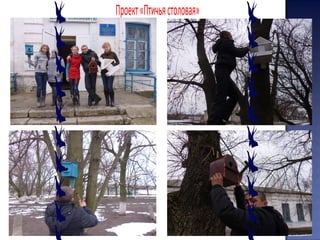 Проект«Птичьястоловая»
 