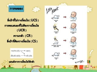ทฤษฎีการเรียนรู้ของวัตสัน