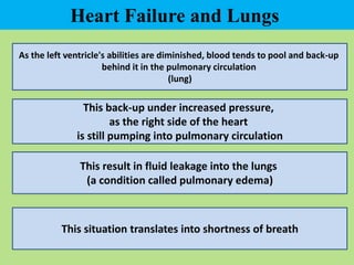 Heart Failure and Lungs
As the left ventricle's abilities are diminished, blood tends to pool and back-up
behind it in the pulmonary circulation
(lung)
This back-up under increased pressure,
as the right side of the heart
is still pumping into pulmonary circulation
This result in fluid leakage into the lungs
(a condition called pulmonary edema)
This situation translates into shortness of breath
 