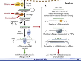 the role of miRNA in cancer | PPTX
