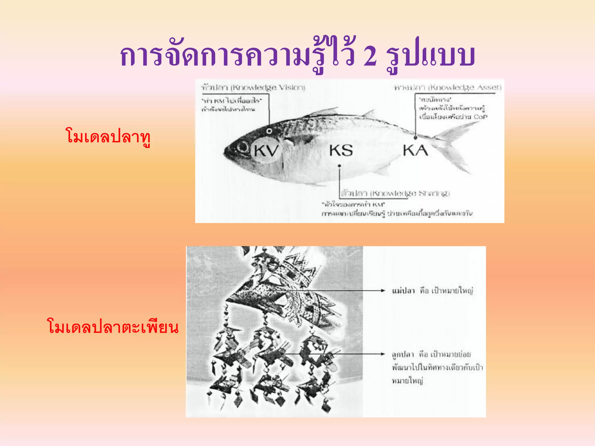 การจัดการความรู้ไว้ 2 รูปแบบ
โมเดลปลาทู
โมเดลปลาตะเพียน
 
