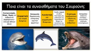 Ποια είναι τα συναισθήματα του Σουρούνη;
Αποτροπιασμός,
θλίψη, θυμός για
ανθρώπινη
βαρβαρότητα –
έλλειψη ηθικών
αξιών
Διαμαρτυρία
για νεκρά
δελφίνια
Καταγγελία
δημαγωγικής
υποκρισίας
αιρετών
αρχόντων
Αγανάκτηση
για
αιχμαλωσία
δελφινιών
Νιώθει ντροπή
επειδή ο
πολιτισμός μας
επιδεικνύει ως
διασκεδαστικό
θέαμα την
καταπίεση που
ασκείται στα ζώα
Στηλίτευση
κερδοσκόπων
– αδράνειας
απλών
ανθρώπων
Καταγγέλλει
αλαζονεία
επιστήμης –
γελοιοποίηση,
απαξίωση
«επιστημόνων».
 