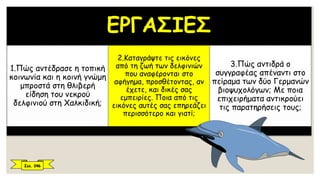 ΕΡΓΑΣΙΕΣ
1.Πώς αντέδρασε η τοπική
κοινωνία και η κοινή γνώμη
μπροστά στη θλιβερή
είδηση του νεκρού
δελφινιού στη Χαλκιδική;
2.Καταγράψτε τις εικόνες
από τη ζωή των δελφινιών
που αναφέρονται στο
αφήγημα, προσθέτοντας, αν
έχετε, και δικές σας
εμπειρίες. Ποια από τις
εικόνες αυτές σας επηρεάζει
περισσότερο και γιατί;
3.Πώς αντιδρά ο
συγγραφέας απέναντι στο
πείραμα των δύο Γερμανών
βιοψυχολόγων; Με ποια
επιχειρήματα αντικρούει
τις παρατηρήσεις τους;
Σελ. 246
 