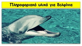 Πληροφοριακό υλικό για δελφίνια
 