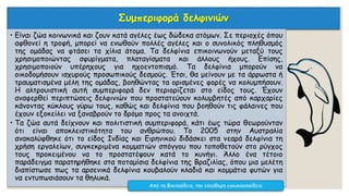 Συμπεριφορά δελφινιών
• Είναι ζώα κοινωνικά και ζουν κατά αγέλες έως δώδεκα ατόμων. Σε περιοχές όπου
αφθονεί η τροφή, μπορεί να ενωθούν πολλές αγέλες και ο συνολικός πληθυσμός
της ομάδας να φτάσει τα χίλια άτομα. Τα δελφίνια επικοινωνούν μεταξύ τους
χρησιμοποιώντας σφυρίγματα, πλαταγίσματα και άλλους ήχους. Επίσης,
χρησιμοποιούν υπέρηχους για ηχοεντοπισμό. Τα δελφίνια μπορούν να
οικοδομήσουν ισχυρούς προσωπικούς δεσμούς. Έτσι, θα μείνουν με τα άρρωστα ή
τραυματισμένα μέλη της ομάδας, βοηθώντας τα ορισμένες φορές να κολυμπήσουν.
Η αλτρουιστική αυτή συμπεριφορά δεν περιορίζεται στο είδος τους. Έχουν
αναφερθεί περιπτώσεις δελφινιών που προστατεύουν κολυμβητές από καρχαρίες
κάνοντας κύκλους γύρω τους, καθώς και δελφίνια που βοηθούν τις φάλαινες που
έχουν εξοκείλει να ξαναβρούν το δρόμο προς τα ανοιχτά.
• Τα ζώα αυτά δείχνουν και πολιτιστική συμπεριφορά, κάτι έως τώρα θεωρούνταν
ότι είναι αποκλειστικότητα του ανθρώπου. Το 2005 στην Αυστραλία
ανακαλύφθηκε ότι το είδος Ινδίας και Ειρηνικού διδάσκει στα νεαρά δελφίνια τη
χρήση εργαλείων, συγκεκριμένα κομματιών σπόγγου που τοποθετούν στο ρύγχος
τους προκειμένου να το προστατέψουν κατά το κυνήγι. Άλλο ένα τέτοιο
παράδειγμα παρατηρήθηκε στα ποταμίσια δελφίνια της Βραζιλίας, όπου μια μελέτη
διαπίστωσε πως τα αρσενικά δελφίνια κουβαλούν κλαδιά και κομμάτια φυτών για
να εντυπωσιάσουν τα θηλυκά.
Από τη Βικιπαίδεια, την ελεύθερη εγκυκλοπαίδεια
 