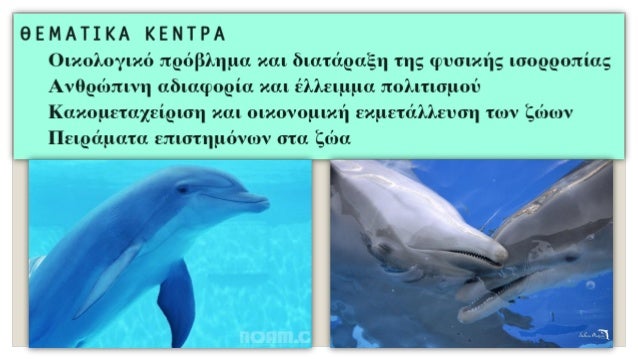 Î•Î¡Î“Î‘Î£Î™Î•Î£
1.Î ÏŽÏ‚ Î±Î½Ï„Î­Î´ÏÎ±ÏƒÎµ Î· Ï„Î¿Ï€Î¹ÎºÎ®
ÎºÎ¿Î¹Î½Ï‰Î½Î¯Î± ÎºÎ±Î¹ Î· ÎºÎ¿Î¹Î½Î® Î³Î½ÏŽÎ¼Î·
Î¼Ï€ÏÎ¿ÏƒÏ„Î¬ ÏƒÏ„Î· Î¸Î»Î¹Î²ÎµÏÎ®
ÎµÎ¯Î´Î·ÏƒÎ· Ï„Î¿Ï… Î½ÎµÎºÏÎ¿Ï
Î´ÎµÎ»Ï†Î¹Î½Î¹Î¿Ï ÏƒÏ„Î· Î§Î±Î»ÎºÎ¹Î´Î¹ÎºÎ®...