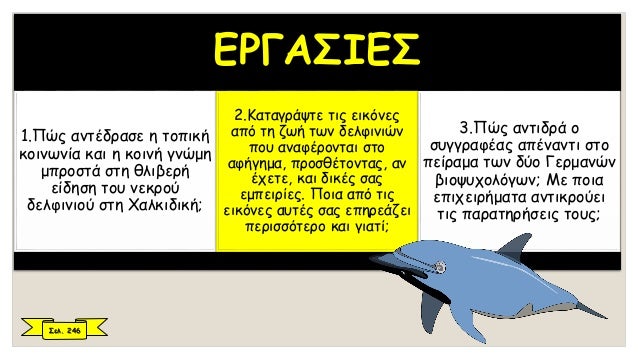 Î Î»Î¿Î¯Î¿ ÎºÎ±Î¹ Î´ÎµÎ»Ï†Î¯Î½Î¹Î±: ÏÎ­Ï€Î»Î¹ÎºÎ±
Ï„Î¿Î¹Ï‡Î¿Î³ÏÎ±Ï†Î¯Î±Ï‚ Î±Ï€ÏŒ Ï„Î· Î¼Î¹Î½Ï‰Î¹ÎºÎ®
Î˜Î®ÏÎ±, 17Î¿Ï‚ Î±Î¹ÏŽÎ½Î±Ï‚ Ï€.Î§.
 