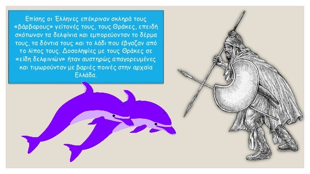 Î¤Î± Î´ÎµÎ»Ï†Î¯Î½Î¹Î± ÎµÎ¯Î½Î±Î¹ Î¸Î±Î»Î¬ÏƒÏƒÎ¹Î± Î¸Î·Î»Î±ÏƒÏ„Î¹ÎºÎ¬, Ï€Î¿Ï… Î±Î½Î®ÎºÎ¿Ï…Î½ ÏƒÏ„Î·Î½ Î¯Î´Î¹Î± Î¿Î¹ÎºÎ¿Î³Î­Î½ÎµÎ¹Î± Î¼Îµ
Ï„Î¹Ï‚ Ï†Î¬Î»Î±Î¹Î½ÎµÏ‚. Î¥Ï€Î¬ÏÏ‡Î¿Ï…Î½ Ï€ÎµÏÎ¯Ï€Î¿Ï… 17 Î³Î­Î½Î· Î´ÎµÎ»Ï†Î¹Î½Î¹ÏŽÎ½...