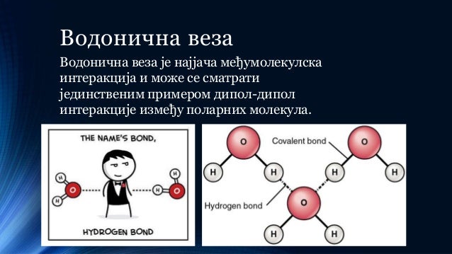 Међумолекулске интеракције и водонична веза