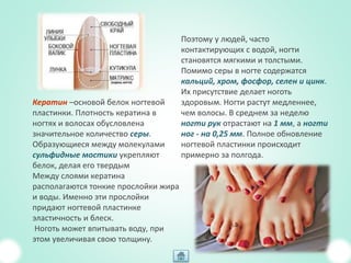 Кератин –основой белок ногтевой
пластинки. Плотность кератина в
ногтях и волосах обусловлена
значительное количество серы.
Образующиеся между молекулами
сульфидные мостики укрепляют
белок, делая его твердым
Между слоями кератина
располагаются тонкие прослойки жира
и воды. Именно эти прослойки
придают ногтевой пластинке
эластичность и блеск.
Ноготь может впитывать воду, при
этом увеличивая свою толщину.
Поэтому у людей, часто
контактирующих с водой, ногти
становятся мягкими и толстыми.
Помимо серы в ногте содержатся
кальций, хром, фосфор, селен и цинк.
Их присутствие делает ноготь
здоровым. Ногти растут медленнее,
чем волосы. В среднем за неделю
ногти рук отрастают на 1 мм, а ногти
ног - на 0,25 мм. Полное обновление
ногтевой пластинки происходит
примерно за полгода.
 