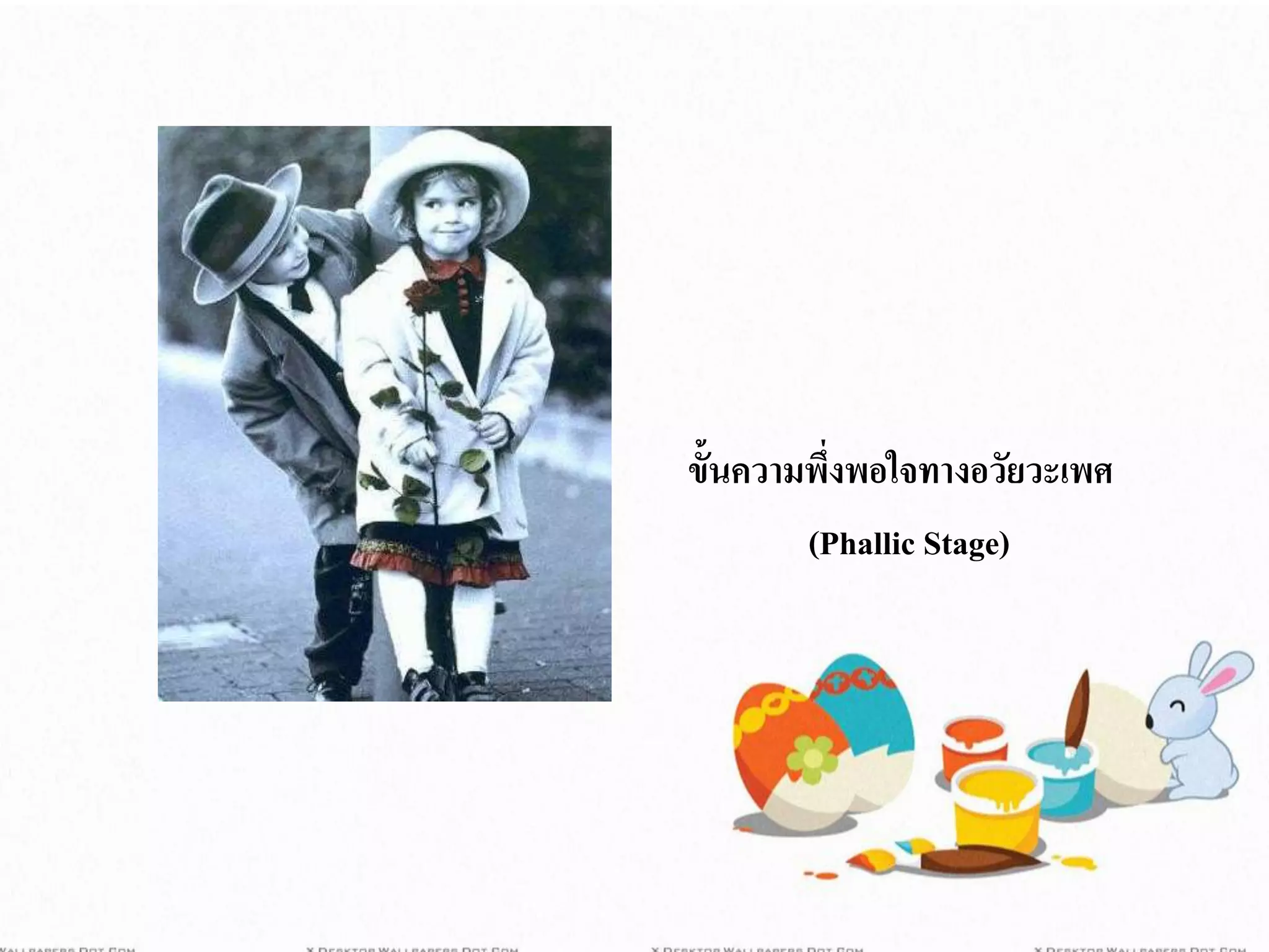 ขั้นความพึ่งพอใจทางอวัยวะเพศ
(Phallic Stage)
 