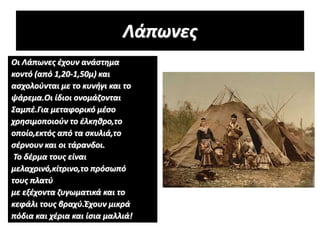 Λάπωνες
Οι Λάπωνες έχουν ανάστημα
κοντό (από 1,20-1,50μ) και
ασχολούνται με το κυνήγι και το
ψάρεμα.Οι ίδιοι ονομάζονται
Σαμπέ.Για μεταφορικό μέσο
χρησιμοποιούν το έλκηθρο,το
οποίο,εκτός από τα σκυλιά,το
σέρνουν και οι τάρανδοι.
Το δέρμα τους είναι
μελαχρινό,κίτρινο,το πρόσωπό
τους πλατύ
με εξέχοντα ζυγωματικά και το
κεφάλι τους βραχύ.Έχουν μικρά
πόδια και χέρια και ίσια μαλλιά!
 