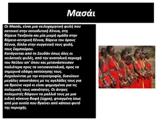 Οι Μασάι, είναι μια νειλοχαμητική φυλή που
κατοικεί στην νοτιοδυτική Κένυα, στη
βόρεια Τανζανία και μία μικρή ομάδα στην
βόρειο-κεντρική Κένυα, βόρεια του όρους
Κένυα, δίπλα στην συγγενική τους φυλή,
τους Σαμπούρου.
Κατάγονται από το Σουδάν όπως όλες οι
νειλοτικές φυλές, από την ανατολική περιοχή
του Νείλου απ' όπου και μετανάστευσαν
παλιότερα προς τα νοτιοανατολικά, προς τα
σημερινά εδάφη κατοίκησης τους.
Ασχολούνται με την κτηνοτροφία, διανύουν
μεγάλες αποστάσεις με τις αγελάδες τους για
να βρούνε νερό κι είναι φημισμένοι για τις
πολεμικές τους ικανότητες. Οι άντρες
πολεμιστές βάφουν τα μαλλιά τους με μια
ειδική κόκκινη βαφή (ώχρα), φτιαγμένη ίσως
από μια ουσία που βγαίνει από κάποιο φυτό
της περιοχής.
Μασάι
 