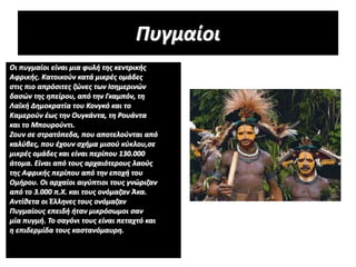 Πυγμαίοι
Οι πυγμαίοι είναι μια φυλή της κεντρικής
Αφρικής. Κατοικούν κατά μικρές ομάδες
στις πιο απρόσιτες ζώνες των Ισημερινών
δασών της ηπείρου, από την Γκαμπόν, τη
Λαϊκή Δημοκρατία του Κονγκό και το
Καμερούν έως την Ουγκάντα, τη Ρουάντα
και το Μπουρούντι.
Ζουν σε στρατόπεδα, που αποτελούνται από
καλύβες, που έχουν σχήμα μισού κύκλου,σε
μικρές ομάδες και είναι περίπου 130.000
άτομα. Είναι από τους αρχαιότερους λαούς
της Αφρικής περίπου από την εποχή του
Ομήρου. Οι αρχαίοι αιγύπτιοι τους γνώριζαν
από το 3.000 π.Χ. και τους ονόμαζαν Άκα.
Αντίθετα οι Έλληνες τους ονόμαζαν
Πυγμαίους επειδή ήταν μικρόσωμοι σαν
μία πυγμή. Το σαγόνι τους είναι πεταχτό και
η επιδερμίδα τους καστανόμαυρη.
 