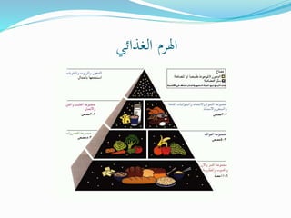 ‫الغذائي‬ ‫اهلرم‬
 