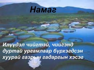 Намаг
Илүүдэл чийгтэй, чийгэнд
дуртай ургамлаар бүрхэгдсэн
хуурай газрын гадаргын хэсэг.
 