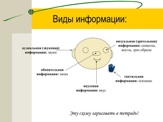 Виды информации:
аудиальная (звуковая)
информация: звуки
вкусовая
информация: вкус
обонятельная
информация: запах
визуальная (зрительная)
информация: символы,
жесты, зрит.образы
тактильная
информация: осязание
Эту схему зарисовать в тетрадь!
 