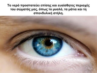 Το νερό προστατεύει επίσης και ευαίσθητες περιοχές
του σώµατός μας, όπως το µυαλό, τα µάτια και τη
σπονδυλική στήλη.
 