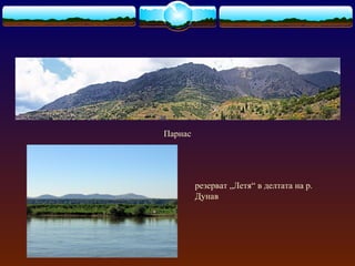 Парнас
резерват „Летя“ в делтата на р.
Дунав
 