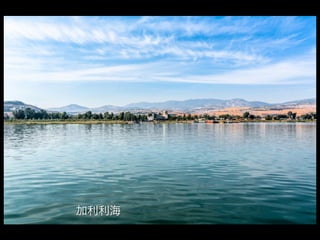 加利利海
 