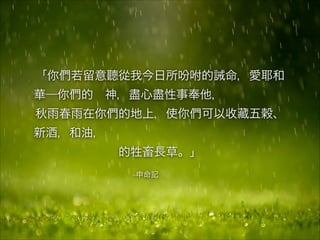 –申命記
「你們若留意聽從我今日所吩咐的誡命，愛耶和
華─你們的 神，盡心盡性事奉他，
秋雨春雨在你們的地上，使你們可以收藏五穀、
新酒，和油，
的牲畜長草。」
 