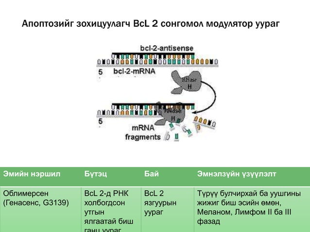 Хавдрын бай эмчилгээ | PPT