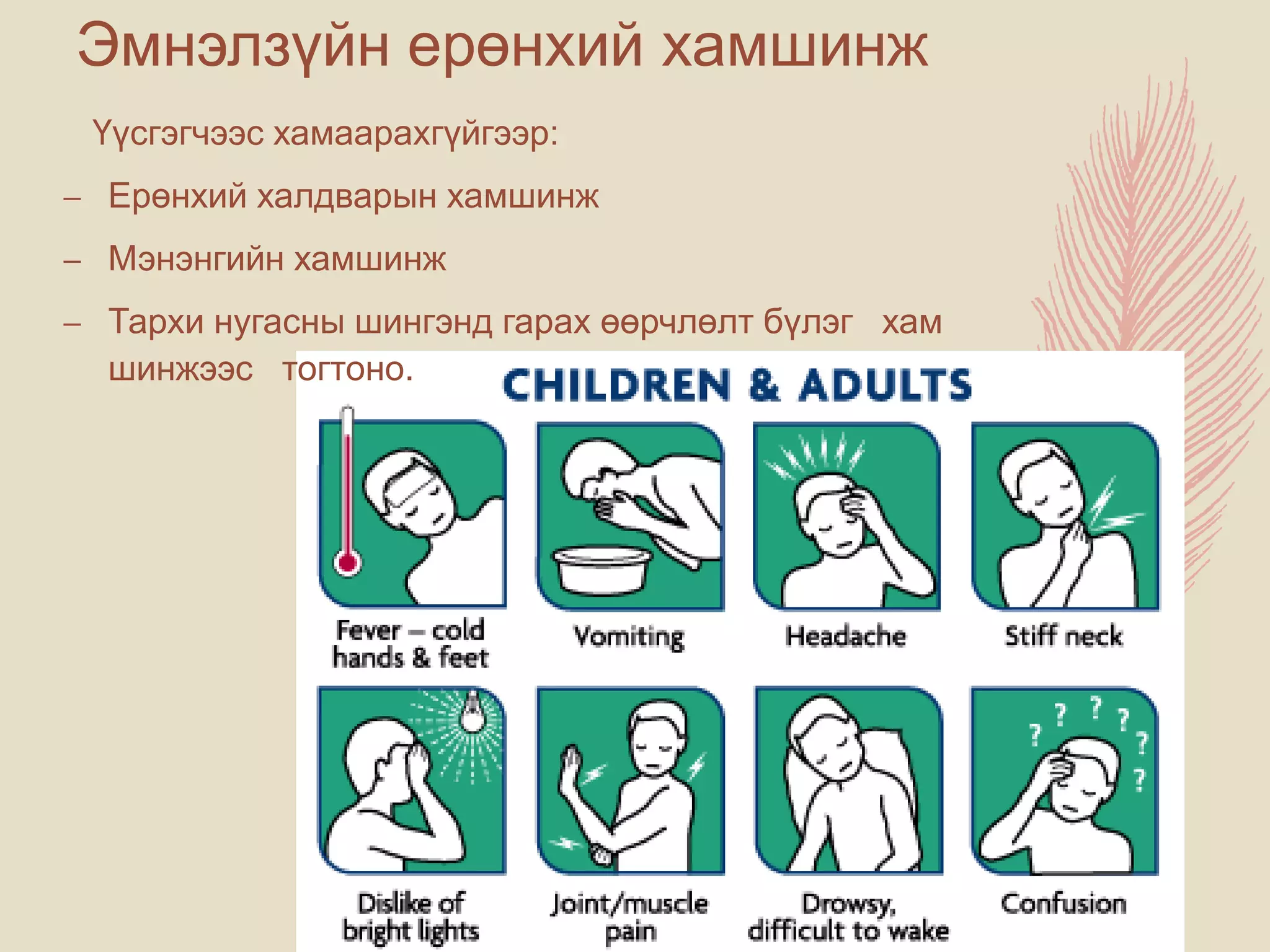 менингит - -мэдрэл судлал | PPT