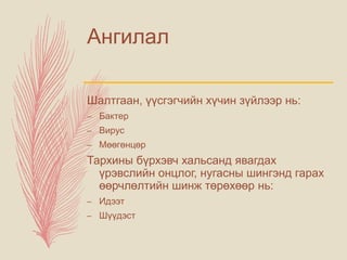 Ангилал
Шалтгаан, үүсгэгчийн хүчин зүйлээр нь:
– Бактер
– Вирус
– Мөөгөнцөр
Тархины бүрхэвч хальсанд явагдах
үрэвслийн онцлог, нугасны шингэнд гарах
өөрчлөлтийн шинж төрөхөөр нь:
– Идээт
– Шүүдэст
 