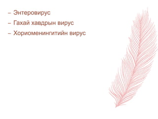 – Энтеровирус
– Гахай хавдрын вирус
– Хориоменингитийн вирус
 