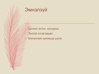Эмнэлзүй
– Цочмог эхлэн, халуурах
– Толгой хчтэй өвдөх
– Мэнэнгийн шинжүүд үүсэх
 