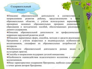 Содержательный
раздел
Описание образовательной деятельности в соответствии с
направлениями развития ребенка, представленными в пяти
образовательных областях, с учётом используемых вариативных
примерных основных образовательных программ дошкольного
образования и методических пособий, обеспечивающих реализацию
данного содержания.
Описание образовательной деятельности по профессиональной
коррекции нарушений развития детей
Описание вариативных форм, способов, методов и средств реализации
Программы с учётом возрастных и индивидуальных особенностей
воспитанников, специфики их образовательных потребностей и
интересов.
Особенности образовательной деятельности разных видов и
культурных практик.
Способы и направления поддержки детской инициативы.
Особенности взаимодействия педагогического коллектива с семьями
воспитанников.
Иные характеристики содержания Программы, наиболее существенные
с точки зрения авторов Программы.
 