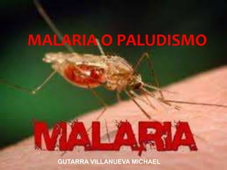 MALARIA O PALUDISMO
GUTARRA VILLANUEVA MICHAEL
 