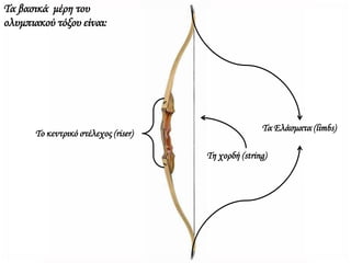 Τα βασικά μέρη του
ολυμπιακού τόξου είναι:
Το κεντρικό στέλεχος (riser)
Τα Ελάσματα (limbs)
Τη χορδή (string)
 