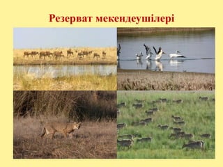 Резерват мекендеушілері
 