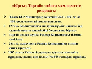 «Ырғыз-Торғай» табиғи мемлекеттік
резерваты
 Қазақ КСР Министрлер Кеңесінің 29.11. 1967 ж. №
808 қаулысымен ұйымдастырылған.
 1976 ж. Қазақстандағы екі дүниежүзілік маңызы бар
сулы-батпақты өлкенің бірі болды және Ырғыз-
 Торғай көлдер жүйесі Рамсар Конвенциясы тізіміне
енгізіледі.
 2011 ж. қыркүйекте Рамсар Конвенциясы тізіміне
қайта тіркеледі.
 2007 жылы Үкіметтің арнаулы қаулысымен қайта
құрылды, жалпы жер көлемі 763549 гектарды құрайды.
 