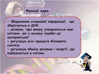Функції ядра.
- Збереження спадкової інформації, що
зберігається в ДНК
- ділення, при якому утворюються нові
клітини, які у всьому подібні до
материнської
- регуляція всіх процесів білкового
синтезу
- регуляція обміну речовин і енергії, що
відбуваються в клітині.
 