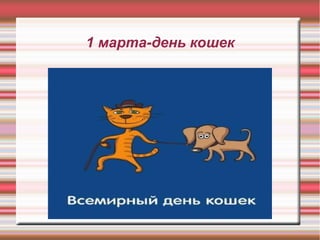 1 марта-день кошек
 