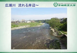 ڞ 밶x
 