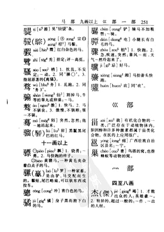 新编潮州音字典——林伦伦